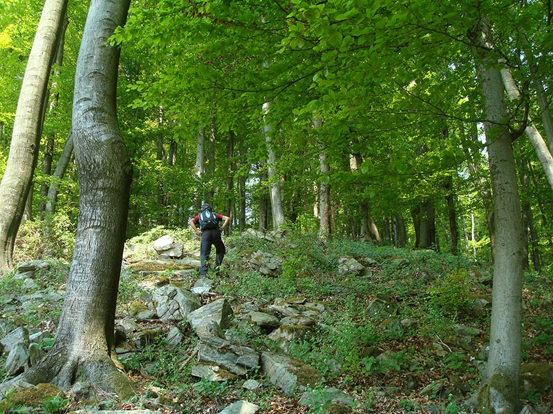 buschandlwand